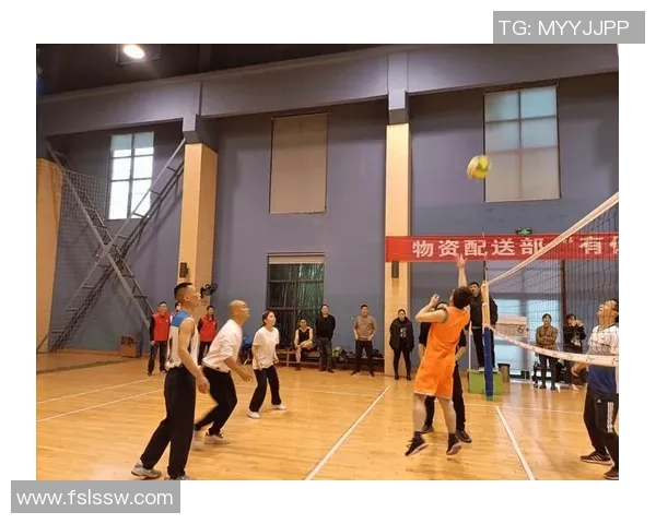 重庆排球队的阵地战体系与排球战术的深度解析与应用探讨